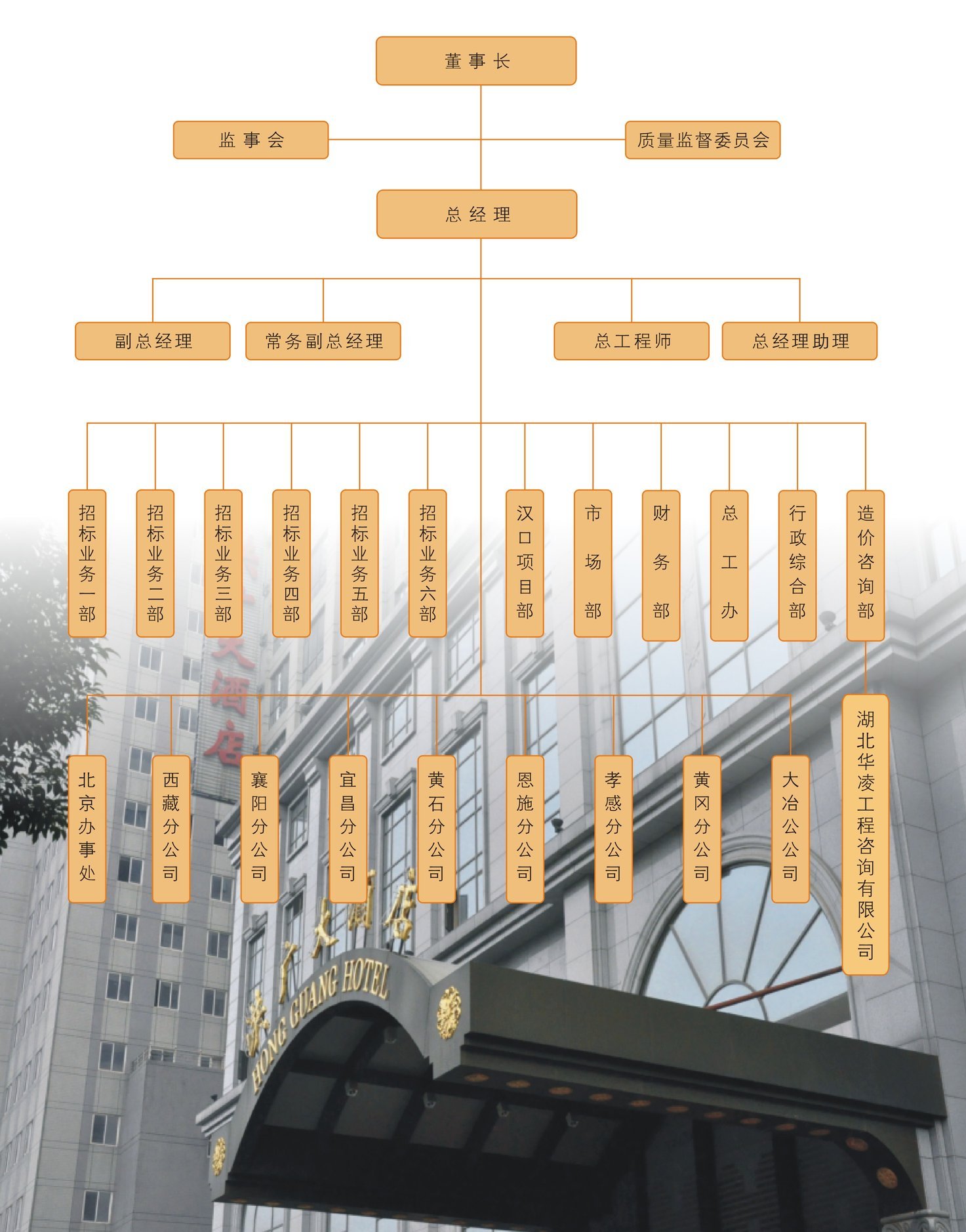 組織結(jié)構(gòu)